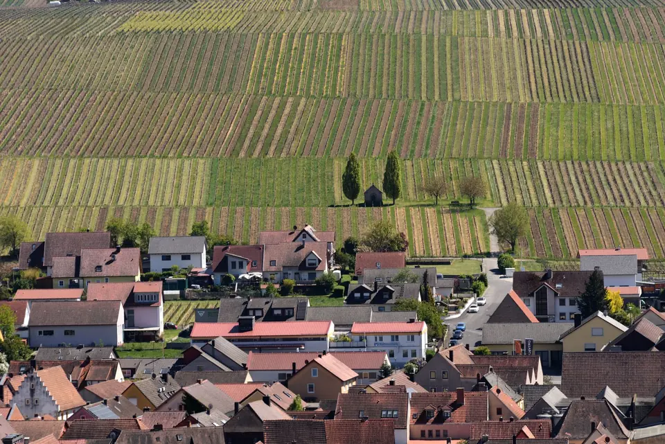Malersicher Blick auf Weinberge hinter einem malerischen deutschen Dorf in Nordheim am Main, Bayern.